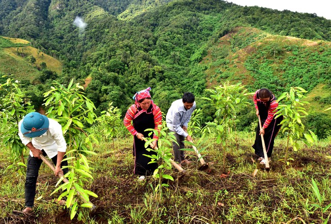 Ngày mới ở Pa Ủ không còn khói thuốc phiện - Ảnh 2.