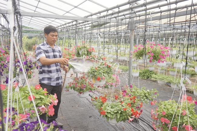 Phó Chủ tịch Trung ương Hội NDVN Đinh Khắc Đính làm việc với Hội Nông dân thành phố Đà Nẵng - Ảnh 6.