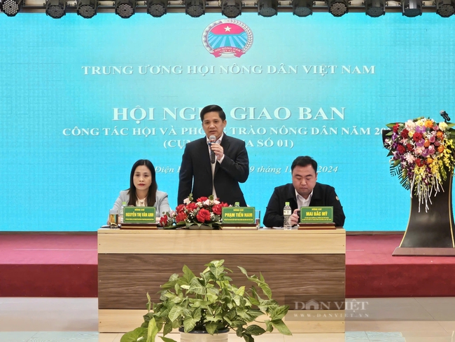 Hội nghị giao ban công tác Hội và Phong trào nông dân 2024 - Cụm thi đua số 1, 14 tỉnh phía Bắc   - Ảnh 5.