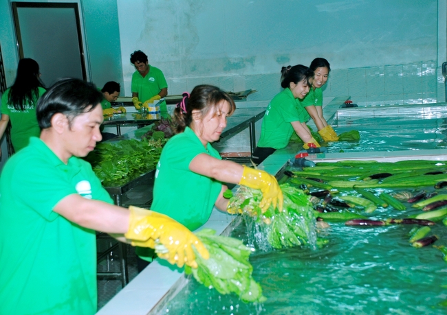 TP.Quảng Ngãi: Đẩy mạnh cơ cấu lại ngành nông nghiệp theo hướng hiện đại và phát triển theo chuỗi giá trị - Ảnh 3.