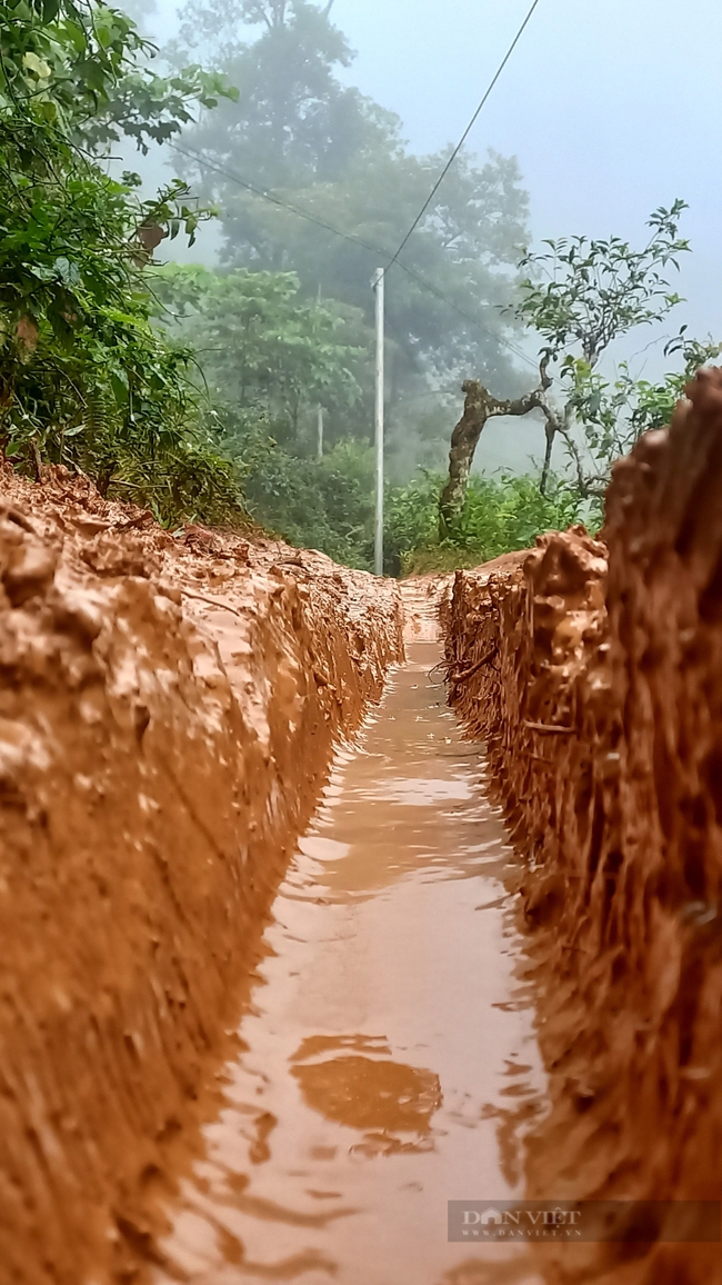 Yên Bái: Kiểm tra, xử lý hoạt động buôn bán đá cảnh Suối Giàng trái phép sau loạt bài điều tra của Báo Dân Việt- Ảnh 11.