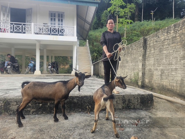 Mô hình Chi hội nghề nghiệp – Tăng cường gắn kết và hỗ trợ hội viên   - Ảnh 3.