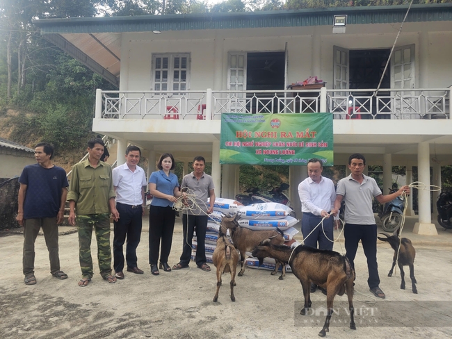 Mô hình Chi hội nghề nghiệp – Tăng cường gắn kết và hỗ trợ hội viên   - Ảnh 1.