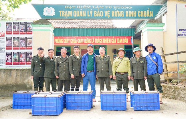 Loài động vật hoang dã quý hiếm là hậu duệ của "tề thiên đại thánh" vừa được thả về một khu rừng nổi tiếng - Ảnh 2.