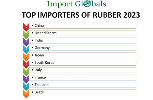 10 thị trường nhập khẩu cao su lớn nhất thế giới, thị phần Việt Nam là bao nhiêu khi xuất khẩu tăng gần 18%? - Ảnh 3.