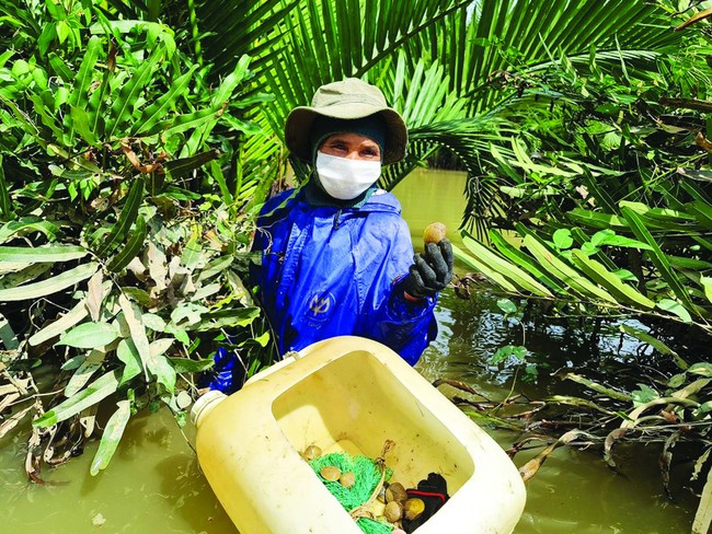 Quảng Ngãi: Phát triển du lịch cộng đồng ở Tịnh Khê, nông dân phấn khởi, thu nhập tăng lên- Ảnh 4.