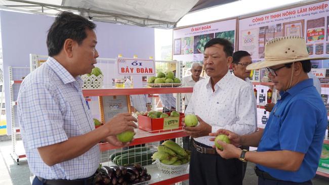 Quảng Ngãi: 33 sản phẩm đạt chuẩn 3-4 sao OCOP ở huyện Mộ Đức là những sản phẩm nào? - Ảnh 2.