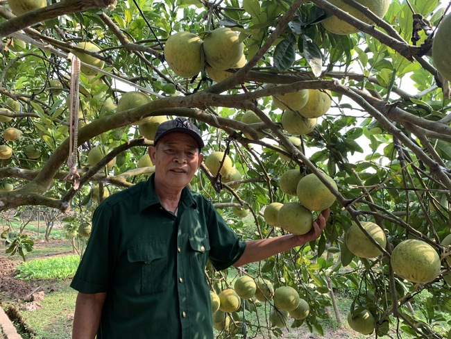 Có vốn, hiểu kỹ thuật, hội viên làm ăn hiệu quả - Ảnh 1.