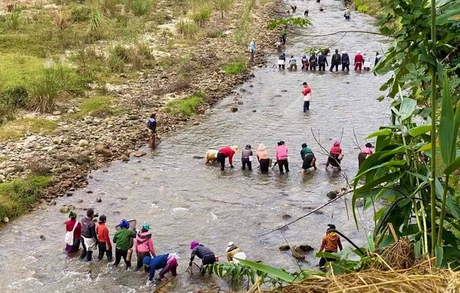 Dân bản ở Nghệ An bảo vệ một loài cá đặc sản sống trên suối, để đến ngày lễ lớn mới đánh bắt - Ảnh 3.