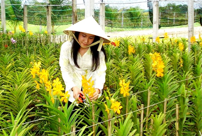 Ở TP.HCM, nhờ làm điều này mà nông dân nuôi tôm, nuôi cá và trồng rau ăn lá,... thu lợi nhuận tiền tỷ đều tay- Ảnh 1.