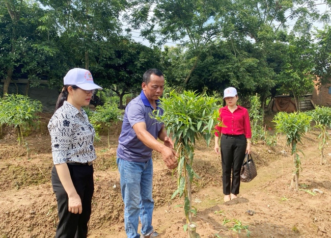 Quỹ Hỗ trợ nông dân tỉnh Bắc Ninh tiếp sức hội viên, nông dân xây dựng nhiều mô hình kinh tế hiệu quả- Ảnh 1.