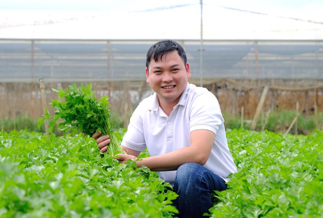 Trai Lâm Đồng "liều" lập công ty, liên kết trồng rau, được Thủ tướng Chính phủ tặng Bằng khen- Ảnh 1.