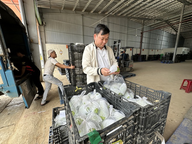 Trai Lâm Đồng "liều" lập công ty, liên kết trồng rau, được Thủ tướng Chính phủ tặng Bằng khen- Ảnh 2.