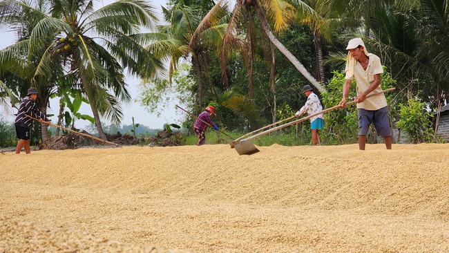 Định danh mã số -  nông sản Việt “cất cánh”- Ảnh 2.