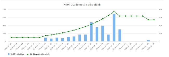 Tân binh sàn chứng khoán, cổ phiếu NEM tăng hơn 500%- Ảnh 1.