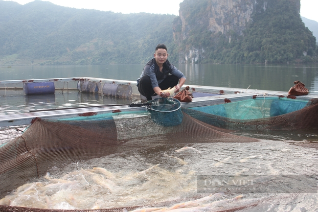 Ở một hồ nước nhân tạo nổi tiếng Lai Châu, anh trai bản nuôi cá đặc sản gì mà lãi 300 triệu/năm?- Ảnh 1.