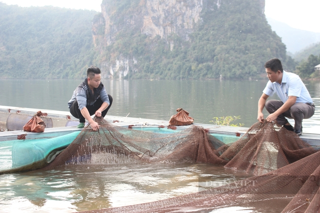 Ở một hồ nước nhân tạo nổi tiếng Lai Châu, anh trai bản nuôi cá đặc sản gì mà lãi 300 triệu/năm?- Ảnh 2.