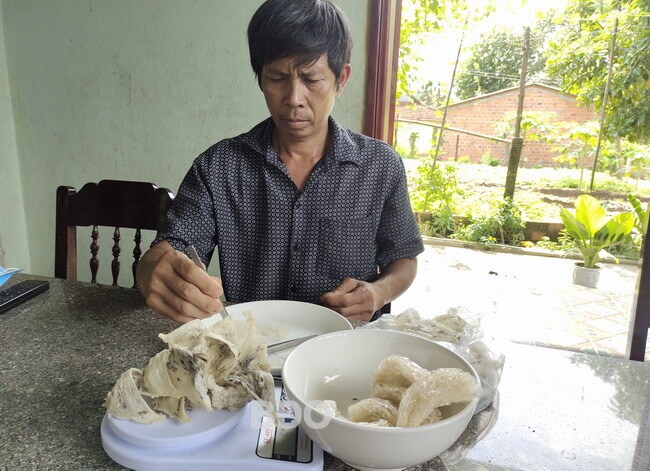 Một nông dân Bình Định xây nhà lớn nuôi chim trời kiểu gì mà nhặt tổ quý bán 20 triệu/kg- Ảnh 1.