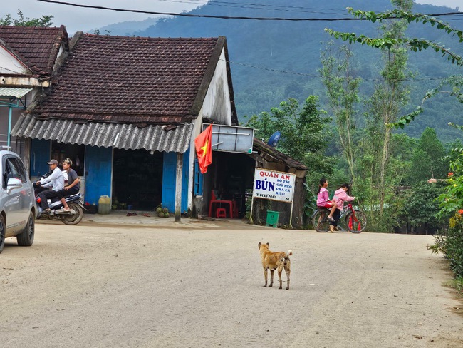 Một xã ở Bình Định có 90% dân số là người dân tộc Bana về đích nông thôn mới vì điều bất ngờ- Ảnh 4.