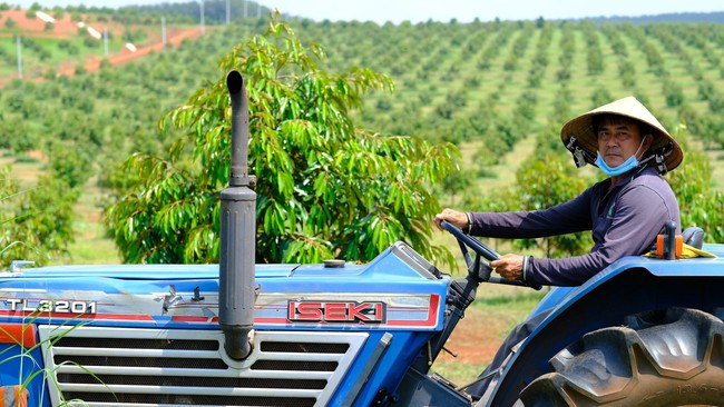 Chàng thạc sĩ trồng "cây tiền tỷ" ở Bình Phước, trang trại đẹp như phim, máy thay người làm việc- Ảnh 9.