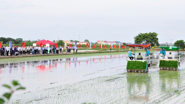 Khuyến nông Việt Nam đổi mới mình bằng công nghệ, định vị lại thế trận, ngang mức khu vực- Ảnh 1.