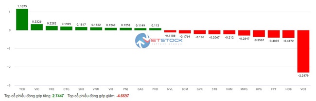 Cổ phiếu Techcombank "nổi sóng", VN-Index vẫn rơi mất mốc 1.230 điểm- Ảnh 2.