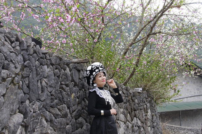 Hết tết từ lâu mà một thôn ở Hà Giang loại hoa mùa xuân vẫn đang nở tưng bừng đẹp mê thế này đây- Ảnh 6.