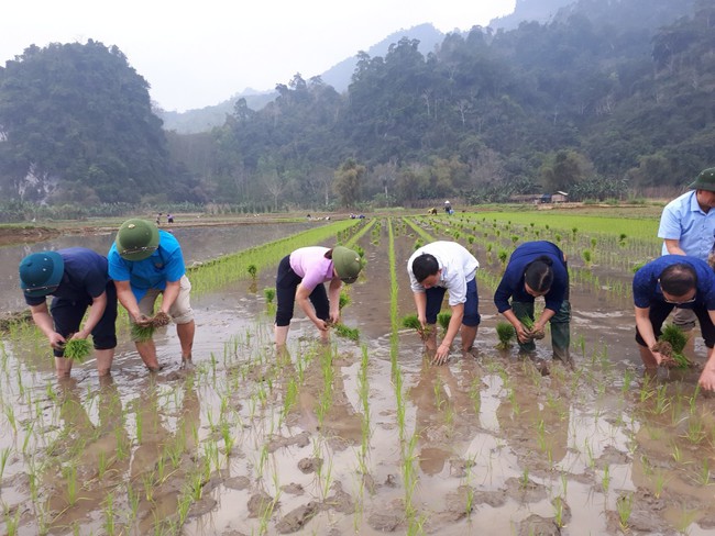 Một huyện "nghèo 30a" ở Hà Giang đang làm cách nào để giúp nông dân nâng cao hiệu quả sản xuất?- Ảnh 1.