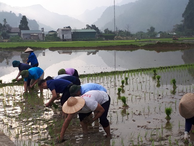 Một huyện "nghèo 30a" ở Hà Giang đang làm cách nào để giúp nông dân nâng cao hiệu quả sản xuất?- Ảnh 2.