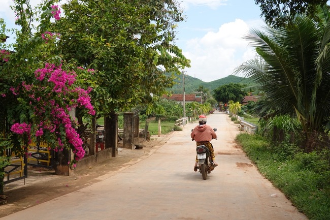 Ở nơi có đặc sản Trà Gò Loi nổi tiếng Bình Định đã về đích chuẩn nông thôn mới nâng cao - Ảnh 4.