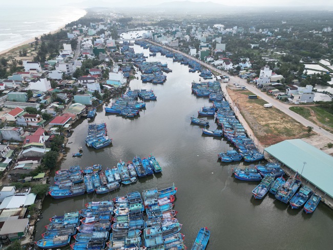 Trúng "đậm" cá ngừ đại dương, đầu năm ngư dân Bình Định hăng hái ra khơi đánh bắt xuyên Tết- Ảnh 1.