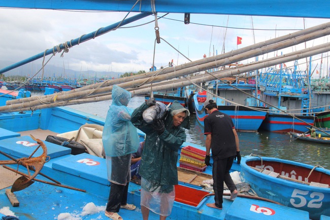 Trúng "đậm" cá ngừ đại dương, đầu năm ngư dân Bình Định hăng hái ra khơi đánh bắt xuyên Tết- Ảnh 3.