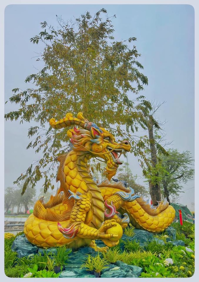 Rồng vàng Bình Định "cuồn cuộn" bên hồ sinh thái đẹp nhất huyện trung du, được khen rất "thần thái, có hồn"- Ảnh 2.