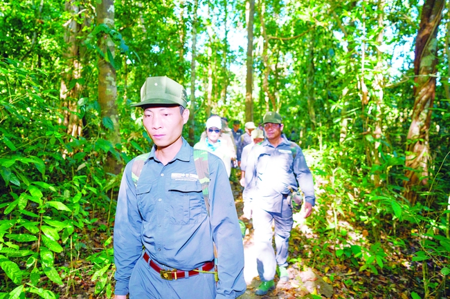 Có diện tích rừng lớn, Việt Nam có thể bán bao nhiêu tín chỉ carbon?- Ảnh 2.