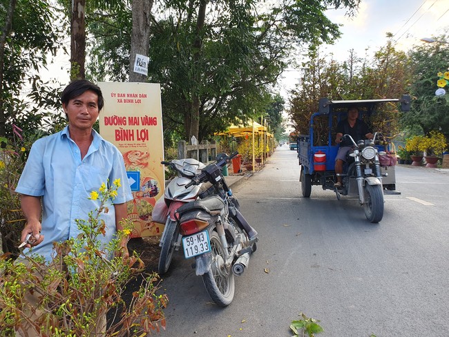 Đường hoa mai vàng Bình Lợi tấp nập thương lái khắp nơi đổ về
       - Ảnh 1.