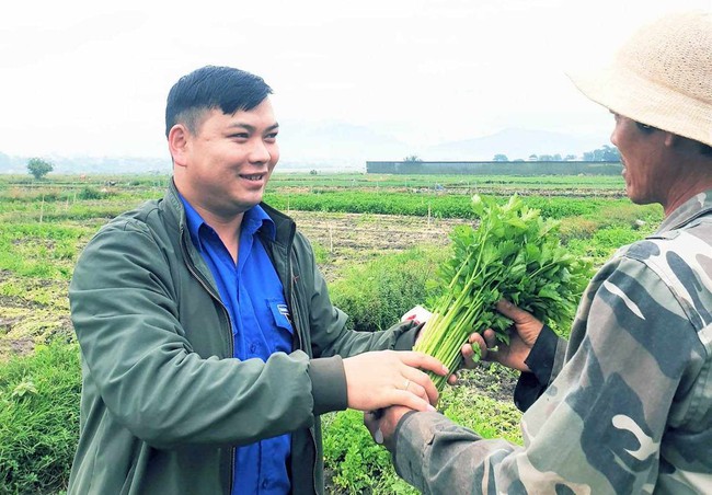 Trai Lâm Đồng "liều" lập công ty, liên kết trồng rau, được Thủ tướng Chính phủ tặng Bằng khen- Ảnh 3.