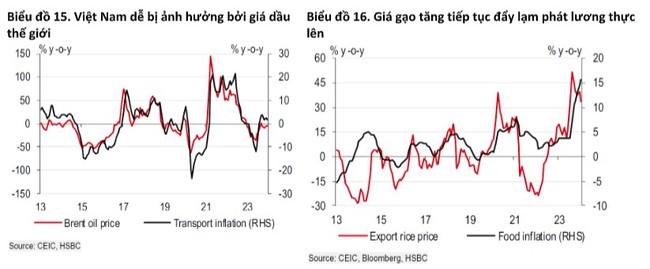 HSBC: "Bắt mạch" người tiêu dùng, Việt Nam khởi đầu năm 2024 bằng dấu hiệu phục hồi vững vàng- Ảnh 5.