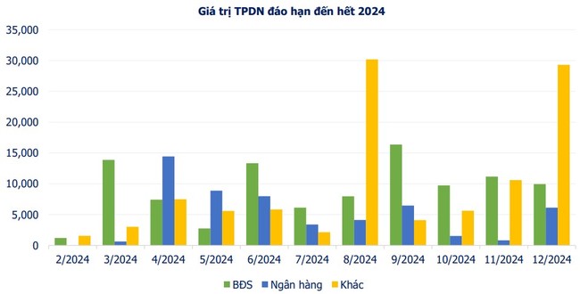 Chỉ có 3 đợt phát hành trái phiếu trong tháng 1/2024- Ảnh 3.