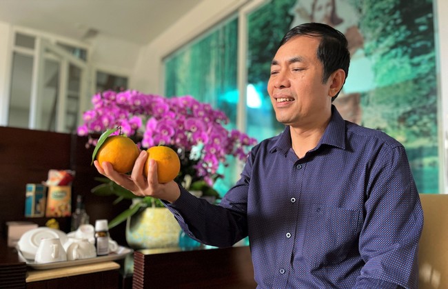 Đây là nông dân đầu tiên của Nghệ An trồng cam Xã Đoài tiêu chuẩn toàn cầu, bán quả lên máy bay- Ảnh 1.