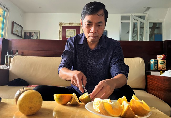 Đây là nông dân đầu tiên của Nghệ An trồng cam Xã Đoài tiêu chuẩn toàn cầu, bán quả lên máy bay- Ảnh 3.