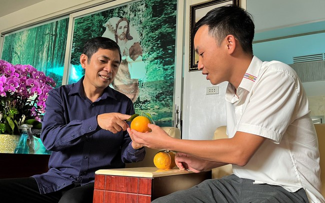Đây là nông dân đầu tiên của Nghệ An trồng cam Xã Đoài tiêu chuẩn toàn cầu, bán quả lên máy bay- Ảnh 2.