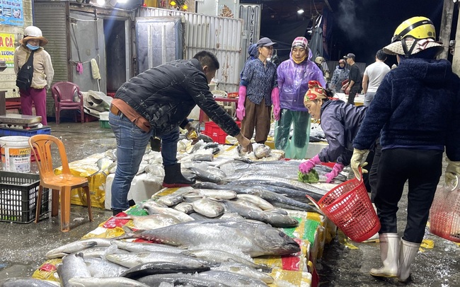 30 Tết, tàu thuyền cập cảng đầy cá thu, cá ngừ, giá bán cao, ngư dân Quảng Bình phấn khởi