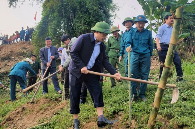 Một huyện ở Nghệ An dân đang trồng 60.000 cây tre dọc bờ sông Lam- Ảnh 9.
