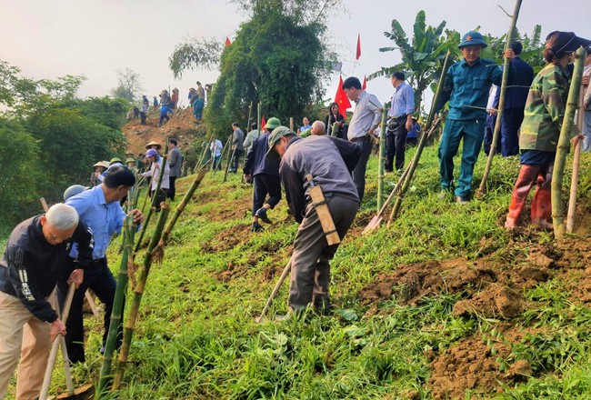 Một huyện ở Nghệ An dân đang trồng 60.000 cây tre dọc bờ sông Lam- Ảnh 8.