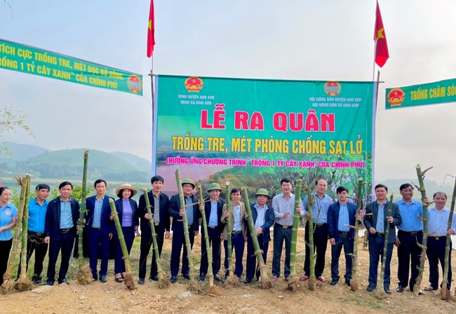 Một huyện ở Nghệ An dân đang trồng 60.000 cây tre dọc bờ sông Lam- Ảnh 1.