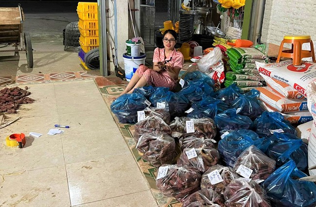 Dân làng này ở Nghệ An mang khoai lang lên mạng rao bán, không ngờ khách chốt đơn liên tục, thu về lãi kép
- Ảnh 4.