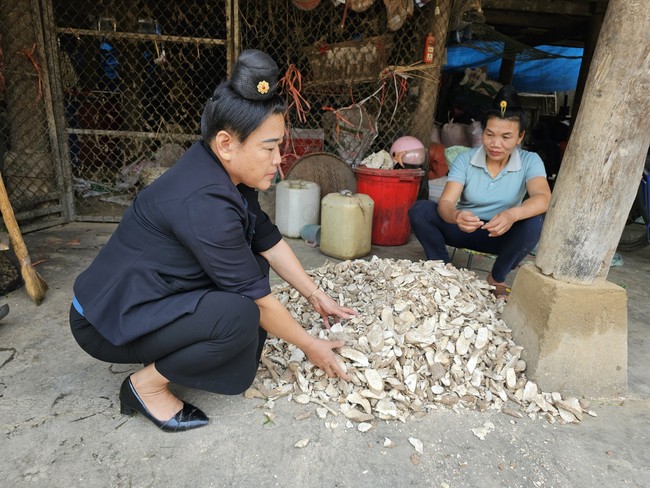 Nuôi lợn đen đặc sản, nông dân Điện Biên làm giàu từ vốn vay Ngân hàng Chính sách Xã hội- Ảnh 5.