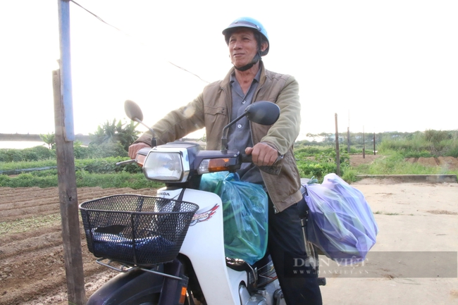 Những ngày này, cứ xuống đồng là nông dân ở vùng trồng rau sạch lớn nhất TP.Đà Nẵng có tiền triệu mỗi ngày- Ảnh 4.