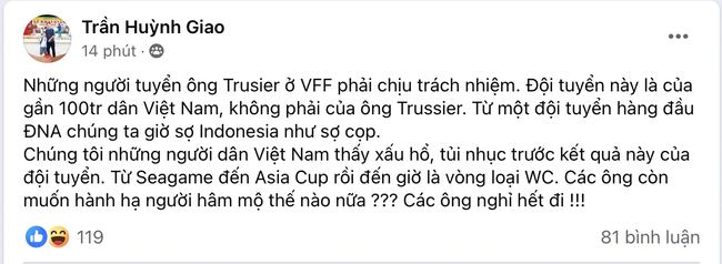 NHM Việt Nam ồ ạt “ném đá” HLV Troussier- Ảnh 11.