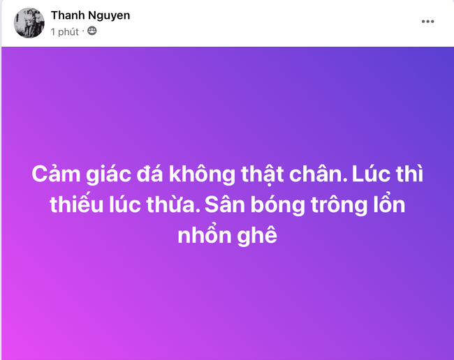 NHM Việt Nam ồ ạt “ném đá” HLV Troussier- Ảnh 22.